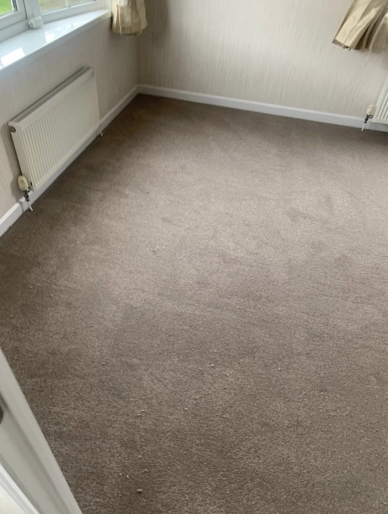 Brown carpet fitted in a bright bedroom